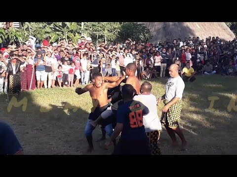 PERTARUNGAN SENGIT TINJU ADAT (ETU) SUKU RENDU