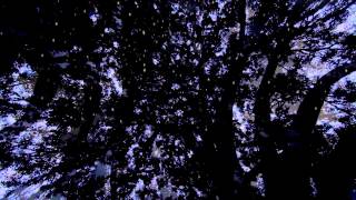 ASK YOUR MAMA - "Bird in Orbit" Preview (Official Video)