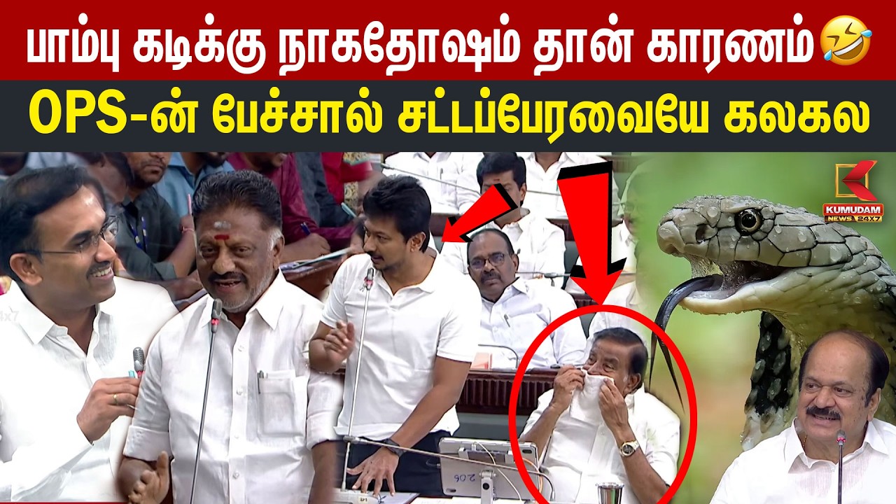 பாம்பு கடிக்கு நாகதோஷம் தான் காரணம்🤣 OPS-ன் பேச்சால் சட்டப்பேரவையே கலகல | OPS vs Arunraj vs Udhay