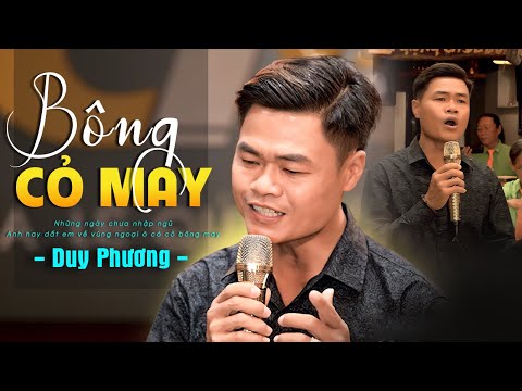 Anh Thợ Xây Nghèo Cover Bông Cỏ May Hay Hơn Bản Gốc khiến Khán Giả Vỗ Tay Không Ngừng | Duy Phương