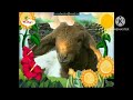 The Amazing World 2006 Sheep