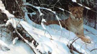 Leonard Cohen   There For You