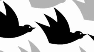 As Pombinhas da Catrina - Ilha das Cores