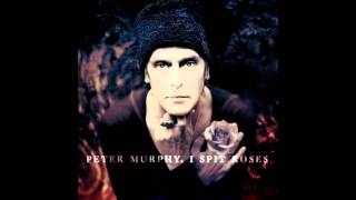 Peter Murphy - The Prince &amp; Old Lady shade