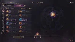 両手剣&ロングソード PvE ファーム用 [ビルドメモ②]【Throne and Liberty(スローンアンドリバティ)】