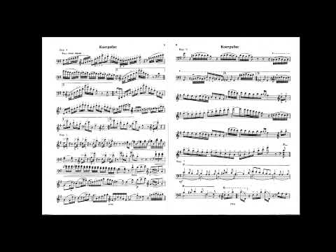 Giovanni Bottesini Introduction et Variations sur "Carnaval de Venice" - Rinat Ibragimov