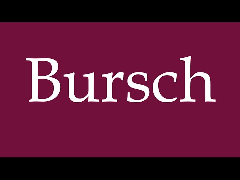 How to Pronounce ''Bursch'' Correctly in German