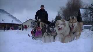 preview picture of video 'Concerto pour chiens de traineau en Valbonnais'