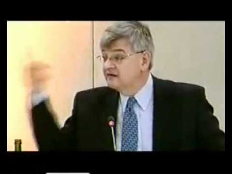 Joschka Fischer i am not convinced.flv