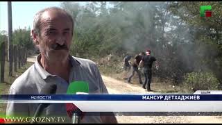 Массовые субботники проходят во всех 8-ми секторах Чечни