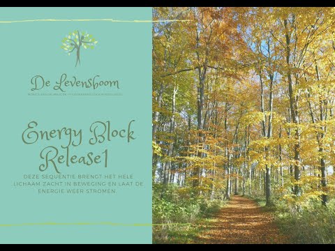 Energy Block Release 1  Dru Yoga door de Levensboom Fysio en Yoga