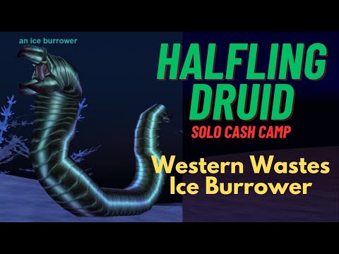 Halfling Druid (Cash Camp) - Western Wastes - Ice Burrower - Project 1999 - EverQuest - Green Server