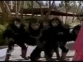 Power Rangers Kat S First Ninjetti Fight