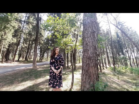 Vitrina e librit/ ‘Jehona ngacmimesh të çuditshme’ nga E. Tupja dhe ‘Frikë nga fluturimi 7A’