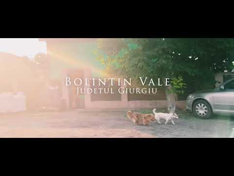 Bolintin Vale - 2023 #oras #giurgiu #bolintin #manele #dj #cluburi #magazine #imagini #nostalgia