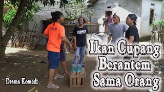 Download lagu Comedy Drama - Betta Fish Fights with a Man - Eps 13 Current Series mp3