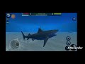 Ultimate Shark Simulator Great White Shark