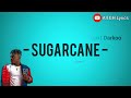 Camidoh - SUGARCANE remix (Offical Lyrics Video) ft. King Promise, Mayorkun & Darkoo Camidoh - SUGARCANE remix (Offical Lyrics Video) ft. King Promise, Mayorkun & Darkoo