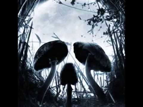 Psy'koZ - Boite À Muzik