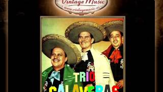 Trio Calaveras - El Pájaro Chogüi, Canción Guaraní (VintageMusic.es)