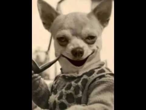 Satsang with Prem Doganadaji and Devatma