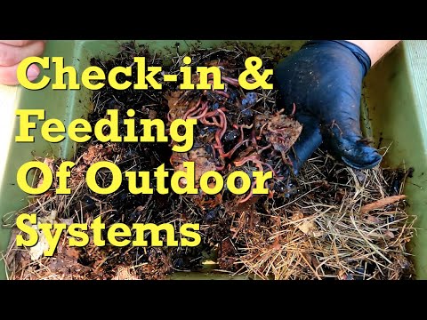 Outdoor worm projects checked-on & next steps discussed - vermicompost