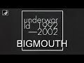 BIGMOUTH by Underworld