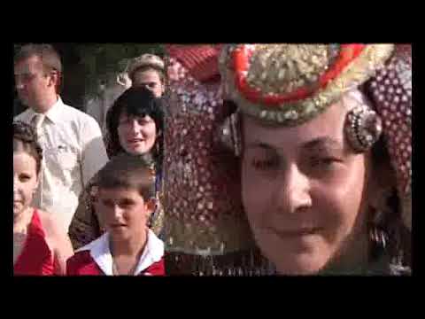 Navetistul Banatean - Dudestii Vechi