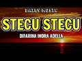 Stecu Stecu Difarina Indra Adella Lirik Lagu