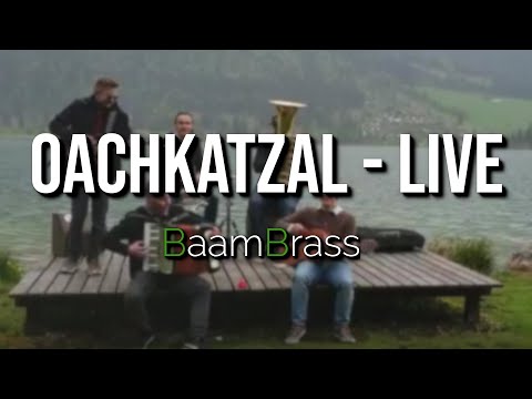 Oachkatzal (live am 06.09.2019) I BaamBrass