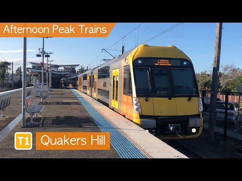 Transport for Sydney Vlog 168: Quakers Hill - Afternoon Peak Trains