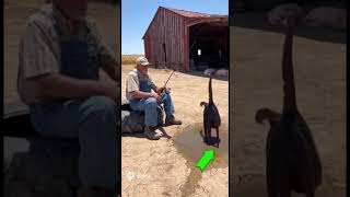 Fishing in Kansas... You Have NEVER Seen a Catch Like This! 🎣🐙