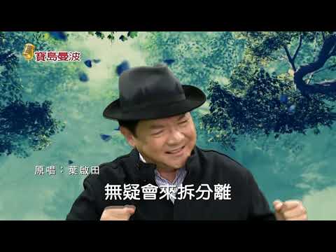 寶島曼波葉啟田-難忘的人