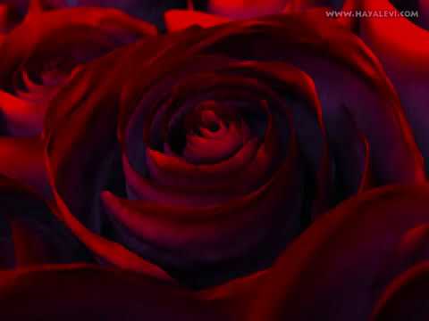 Dj Samet Ft Mc Koray 60 & Zindan - Aşkım - MalatyaStyle