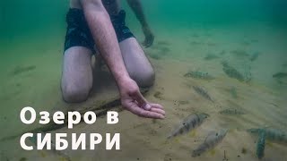 Рыбалка в оськино томская область