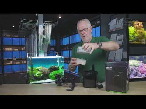 Watch Video on YouTube