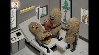 No Waiting For The Peanuts To Dissolve FRANK ZAPPA