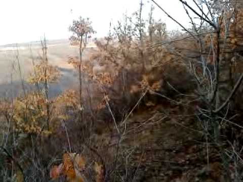 Gjuetaret e smrekonices