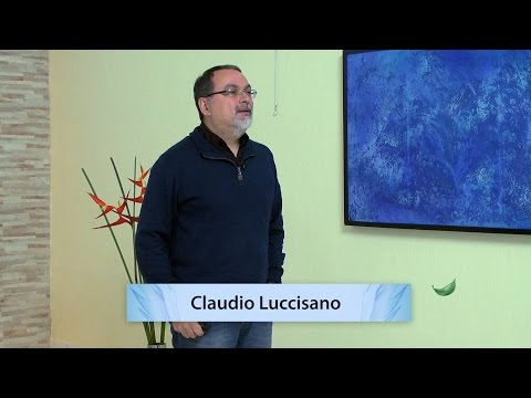 Palestra 258 - Corrupção - Claudio Luccisano