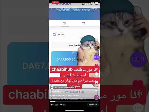 Chaabi Hub - DZ Social Network