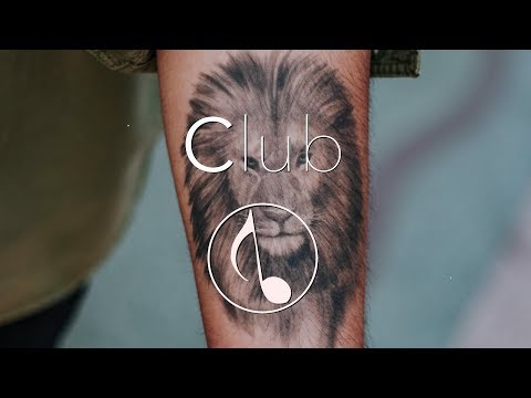 Shanguy - King Of The Jungle (Amice Remix)