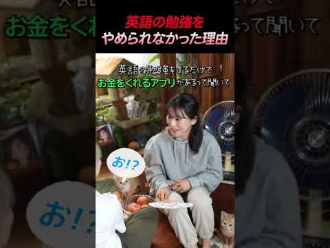 비디오 13