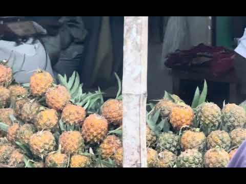 famous pineapple in sreemangal bd 2025 @everyone￼