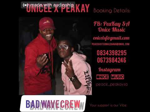 PeaKay ft Onicee - Jealousy (official audio)[BAD WAVE CREW]