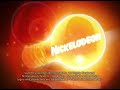 Nickelodeon 2010 Copyright Go Diego Go