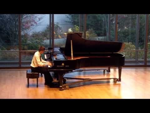 Etude in D minor [Op. 45, No. 15] - Heller