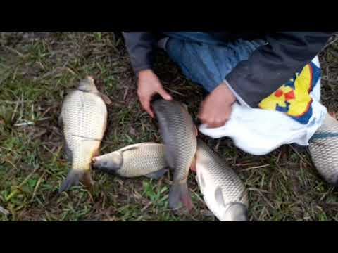 captura iaz Hreatca 20201025 162940