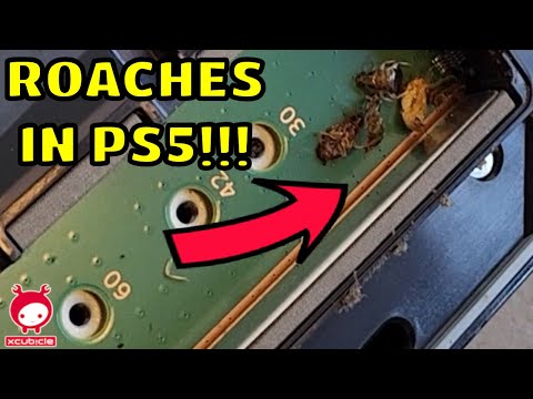 YOU WON'T BELIEVE HOW MANY ROACHES WERE IN THIS PS5!!!! | Cleaning & Repairing PS5 HDMI