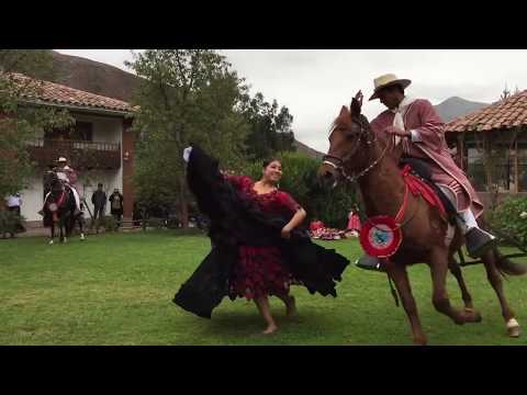 Peruvian Paso Horse and Marinera Dance