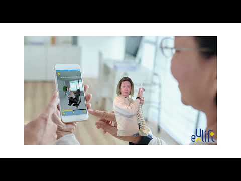 structure of the spine